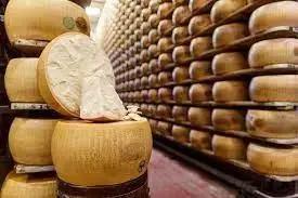 中意双语_意大利帕尔马干酪的世界奶酪之旅